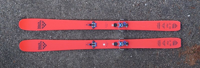 recensione camox freebird