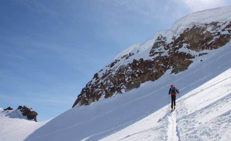 Sci black crows per scialpinismo
