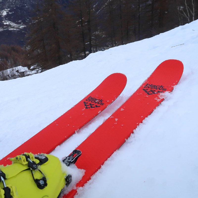 Recensione sci camox freebird