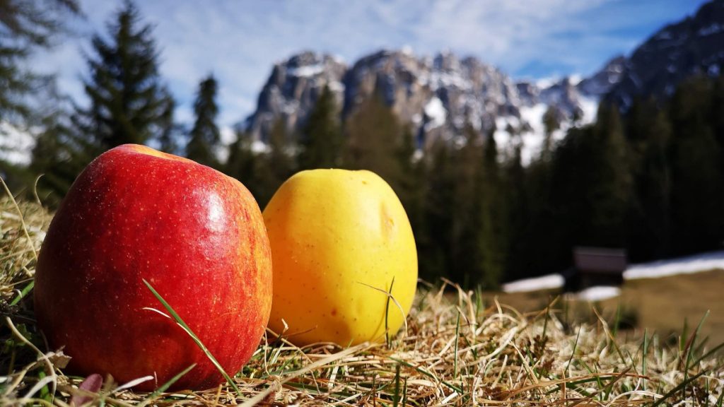 guida all'alimentazione per sport di montagna