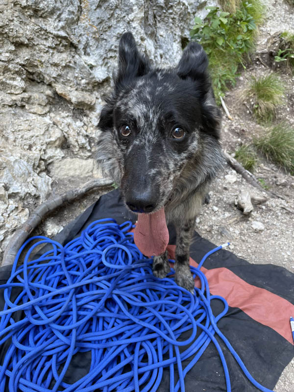 ombra ama la pinnacle
