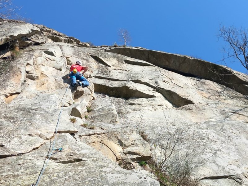 beal expresso fit in multipitch