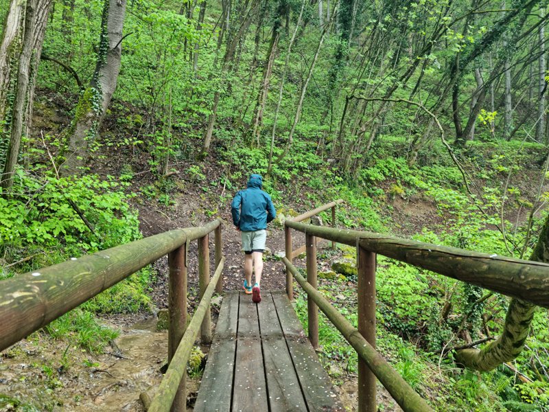 trail running with asics fujitrail elite
